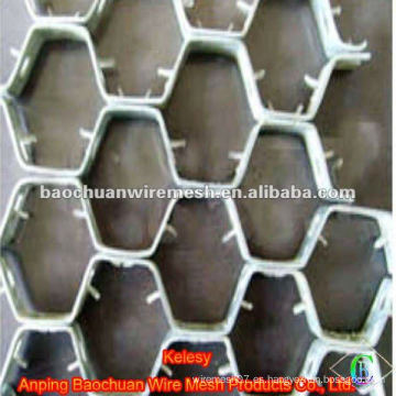 Espaciamiento del agujero 2cm-6cm Acero inoxidable Tortoise Shell Mesh (Fábrica)